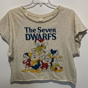 Disney Women's The Seven Dwarfs Heather Raglan Short Sleeve Crop Top Medium